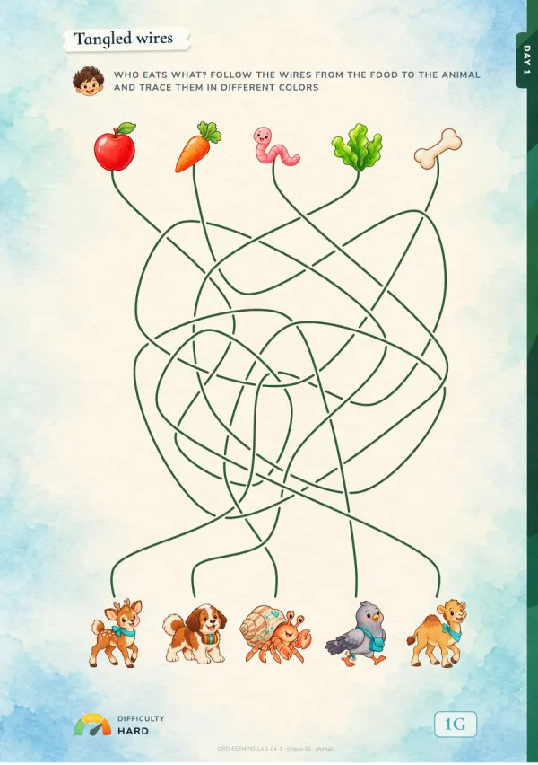 Tangled wires: each food to its animal
