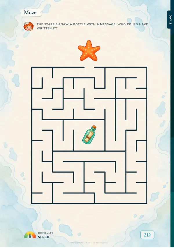 Geometric maze with the starfish and the bottle